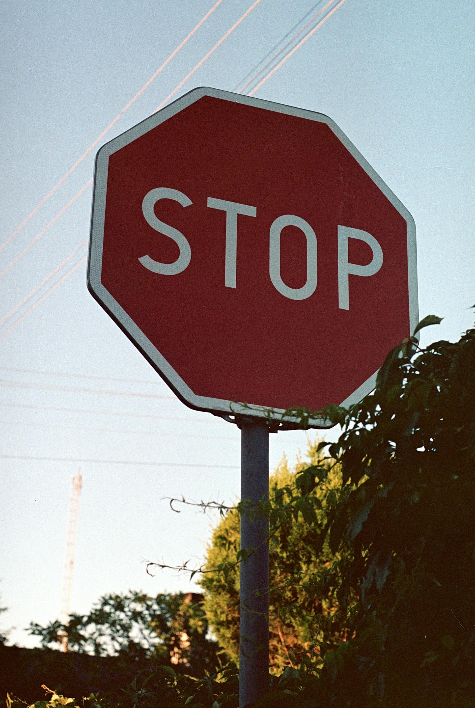 banner-1